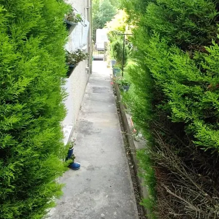 Jolie En Rez De Chaussee 基扬