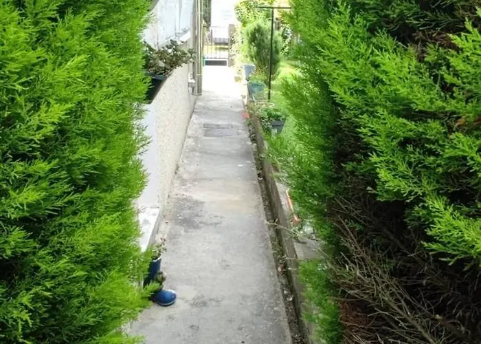 Jolie En Rez De Chaussee קוויאן